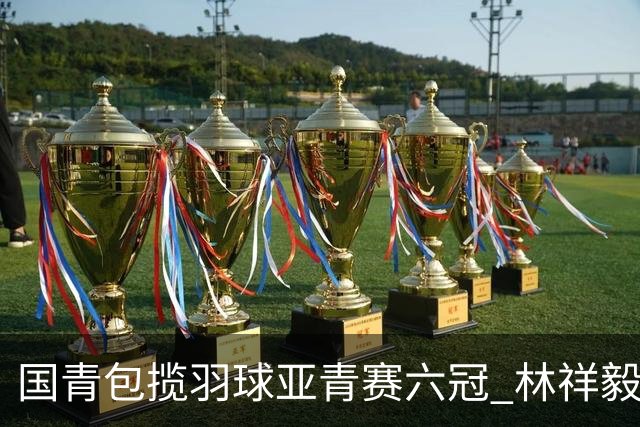国青包揽羽球亚青赛六冠 林祥毅18胜1负成三冠王